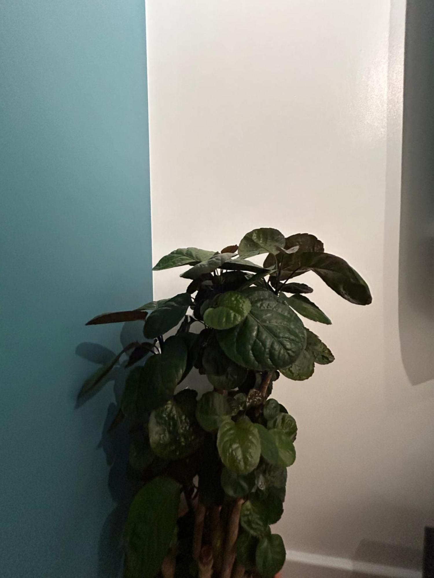 Woodhouse Apartment ليدز المظهر الخارجي الصورة